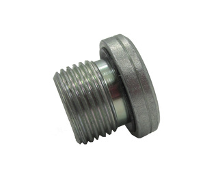 Busch Plug,Oil,G3/8
Part# 430020 Busch Plug,Oil,G3/8
Part# 430020