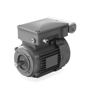 Spare Motor Kit EM18 1Ph 115/230V, A36315754 Spare Motor Kit EM18 1Ph 115/230V, A36315754