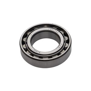 Roller Bearing, A20404011 Roller Bearing, A20404011