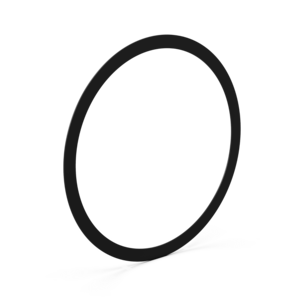 Cleaning Port Gasket, B06510029 Cleaning Port Gasket, B06510029