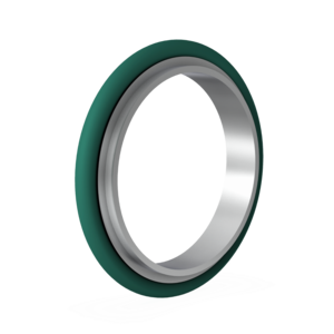 Centring Ring - St St FKM O-Ring - NW40