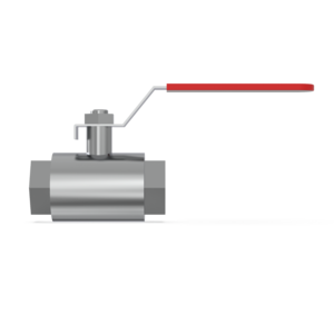 Inline Valve - IBV25MS - 1" BSPP (G) Ball Valve St St