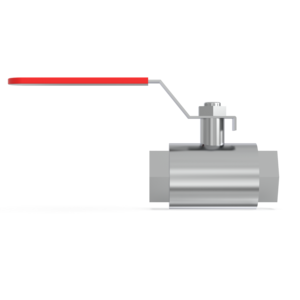 Inline Valve - IBV25MS - 1" BSPP (G) Ball Valve St St