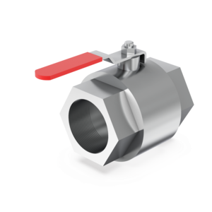 Inline Valve - IBV50MS - 2" BSPP (G) Ball Valve St St