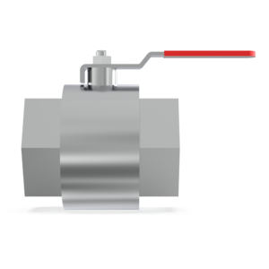 Inline Valve - IBV50MS - 2" BSPP (G) Ball Valve St St