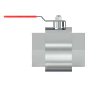 Inline Valve - IBV50MS - 2" BSPP (G) Ball Valve St St