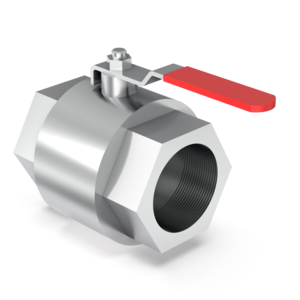 Inline Valve - IBV50MS - 2" BSPP (G) Ball Valve St St